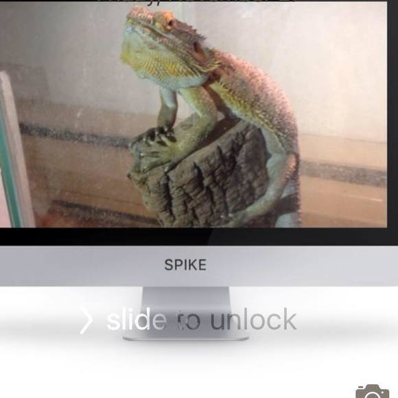 Meet your Posher, Kevin - Picture 1 of 1